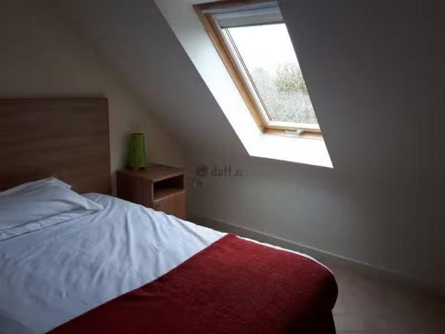 House to rent