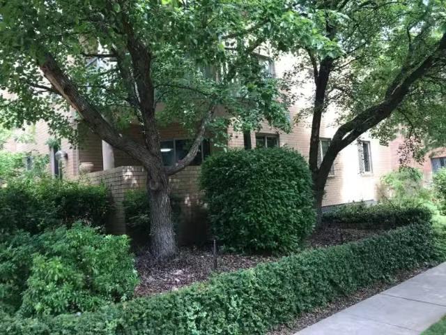 Apartment for rent in Australian Capital Territory