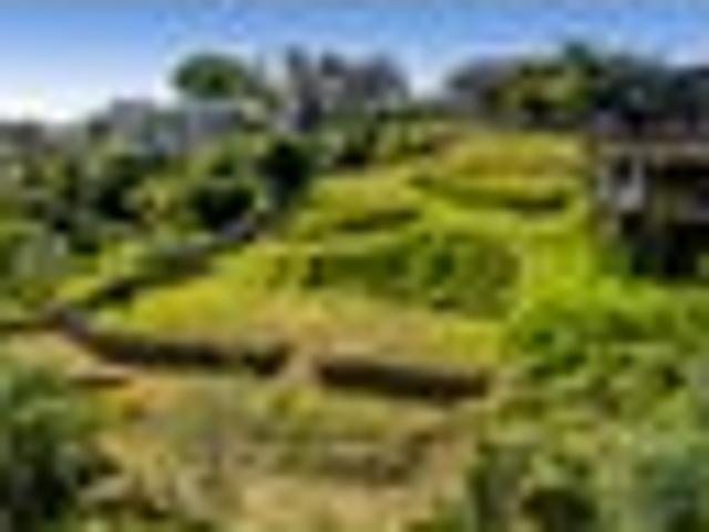 Land for sale in Hillsborough, Taranaki