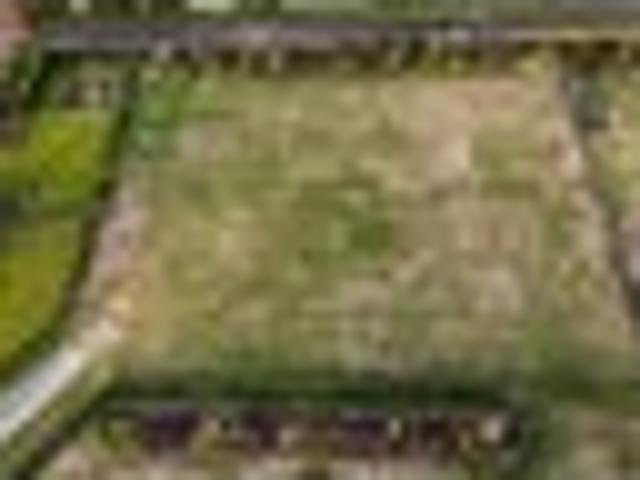 Land for sale in Tamahere, Waikato