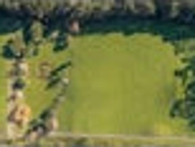 Land for sale in Horowhenua District