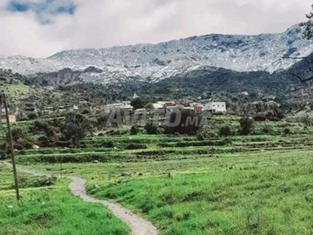 Propriété vente à Chauen, Tanger-Tétouan