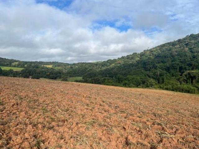 Terreno venda em Região Imediata de Sorocaba, Região Metropolitana de Sorocaba