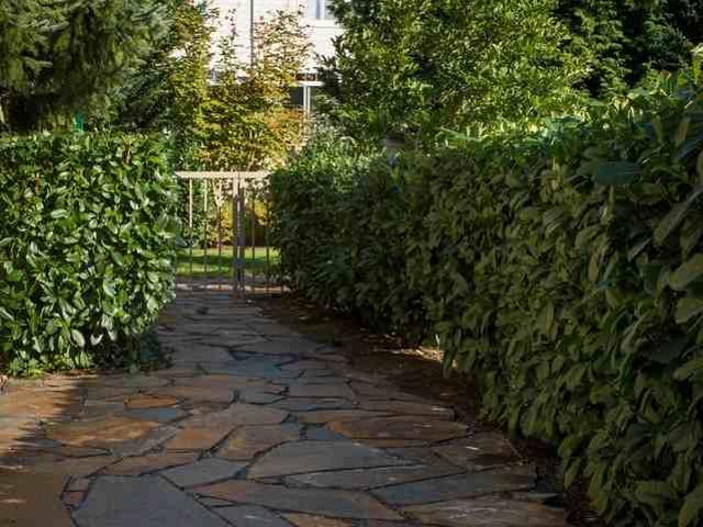 Apartment for rent in Kenmore, Washington