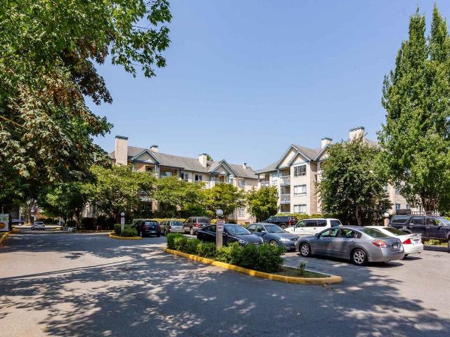 Apartment for rent in Pitt Meadows, British Columbia