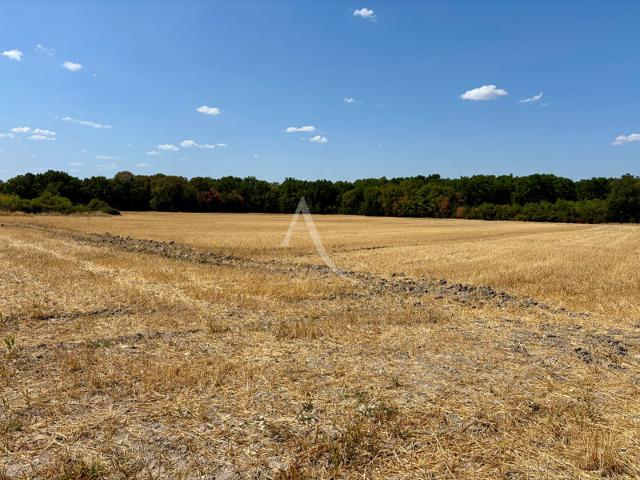 Terrain vente à Romorantin-Lanthenay, Chémery