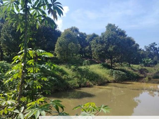 Shop for sale in Triang, Pahang