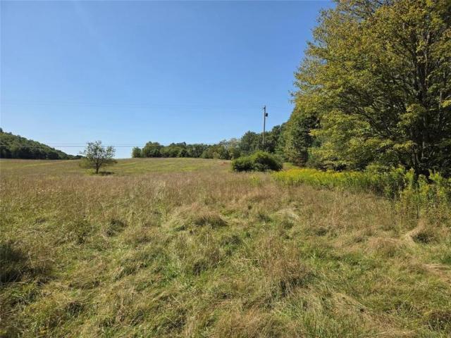 Land for sale in New York