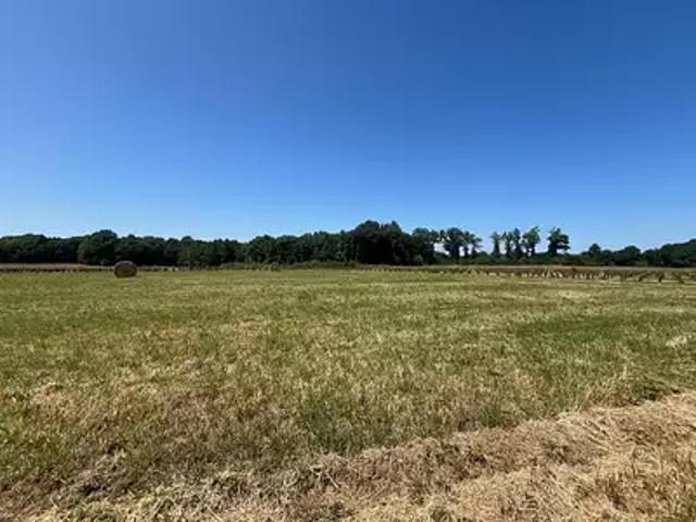 Terrain vente à France métropolitaine, Chérac