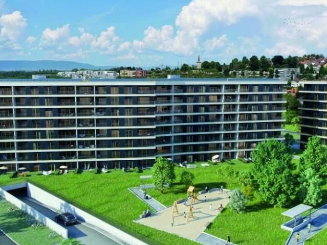Apartment mieten in Cudrex, Bussigny