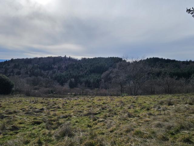 Terrain vente à Roanne, Cherier