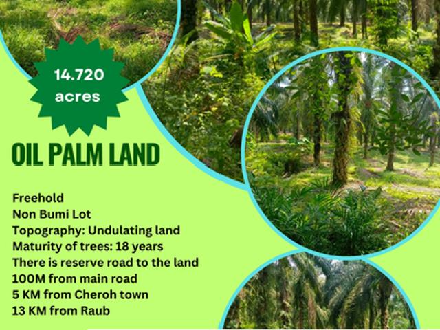Shop for sale in Ceruh, Pahang