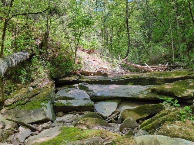 Land for sale in Tennessee
