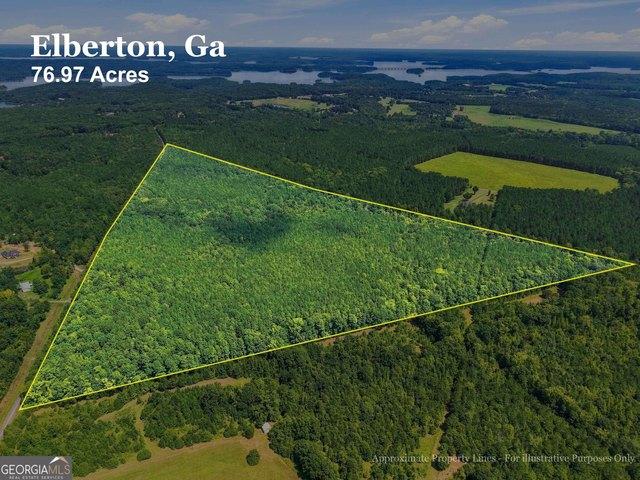 Land for sale in Elbert, Georgia