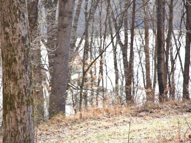 Land for sale in Kentucky