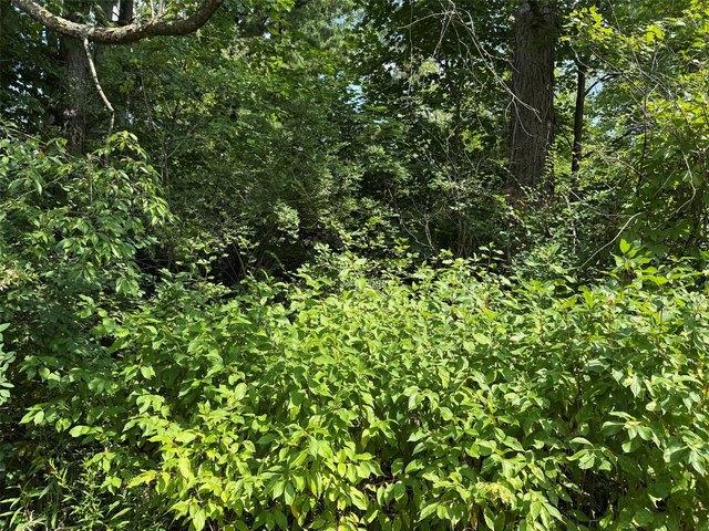 Land for sale in Espyville, North Shenango Township