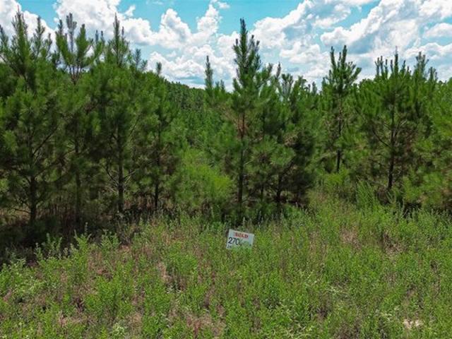 Land for sale in Lovelady, Houston County