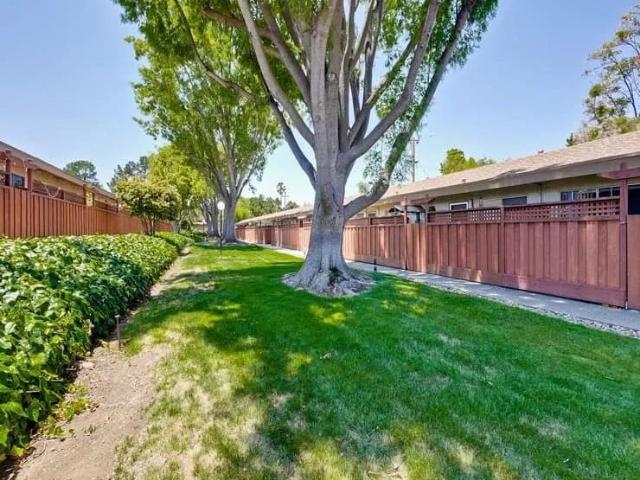 Apartment for rent in Sunnyvale, California