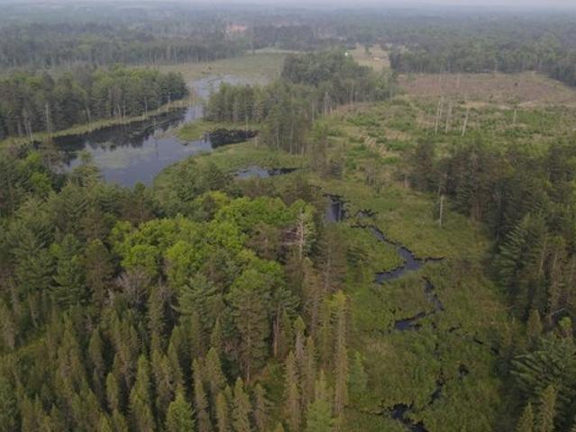 Land for sale in Grayling, Michigan