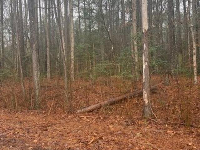 Land for sale in Virginia