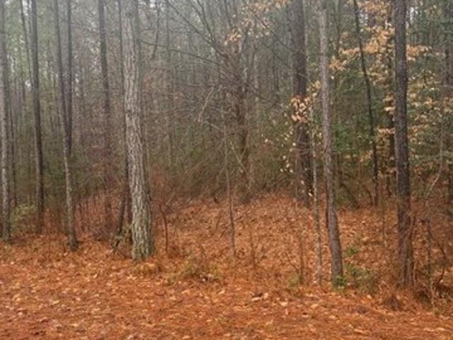 Land for sale in Virginia