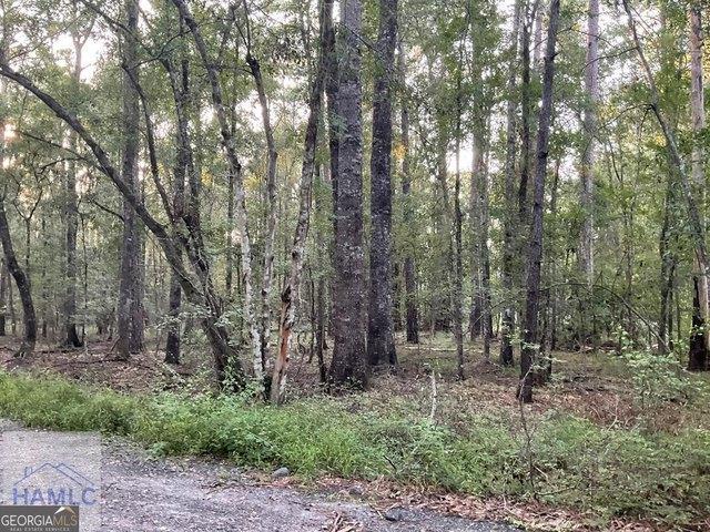 Land for sale in Hinesville, Liberty County