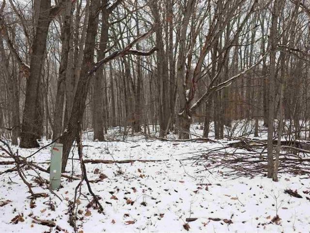 Land for sale in Farwell, Clare County
