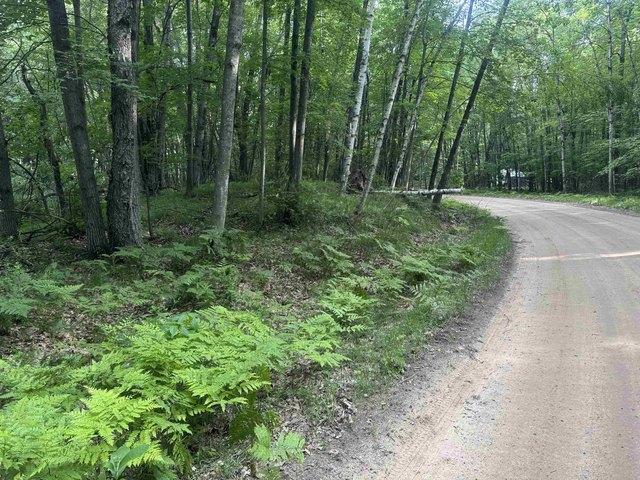 Land for sale in Clare, Michigan