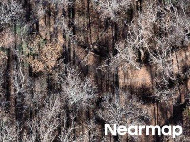 Property for sale in Hayesville, North Carolina