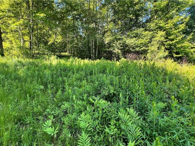 Land for sale in Allegany, New York