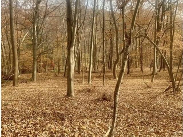 Land for sale in Ringoes, New Jersey