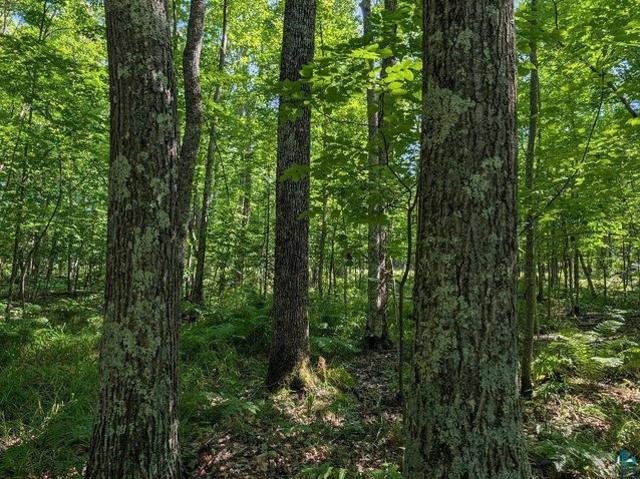 Land for sale in Ashland, Ashland County