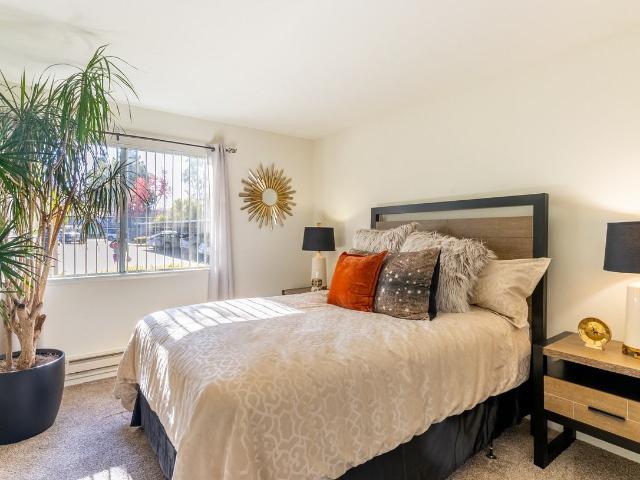 Apartment for rent in San Jose, California