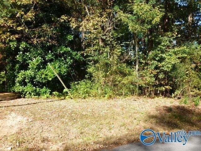 Land for sale in Guntersville, Alabama