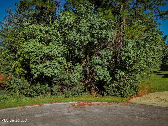 Land for sale in Gautier, Mississippi