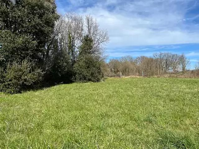 Terrain vente à Cherves-richemont, Bois-Rocher