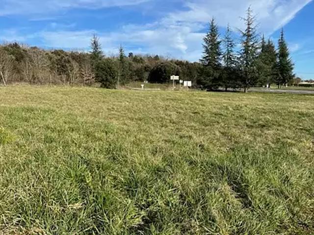Terrain vente à Cognac, Cherves-richemont