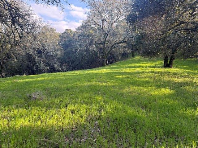 Land for sale in Morgan Hill, California