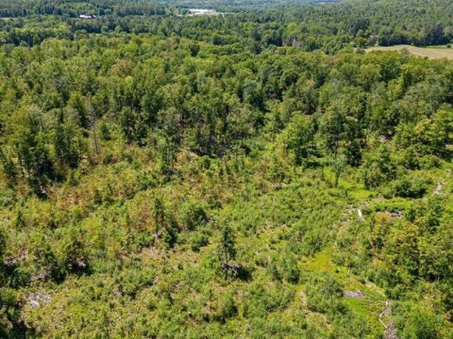 Land for sale in New Hampshire