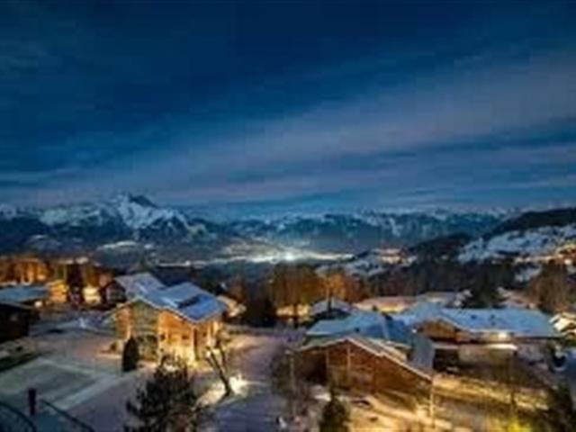 Wohnung kaufen in Ollon (VS), Waadt