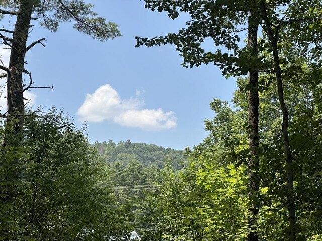 Land for sale in Chester, Vermont