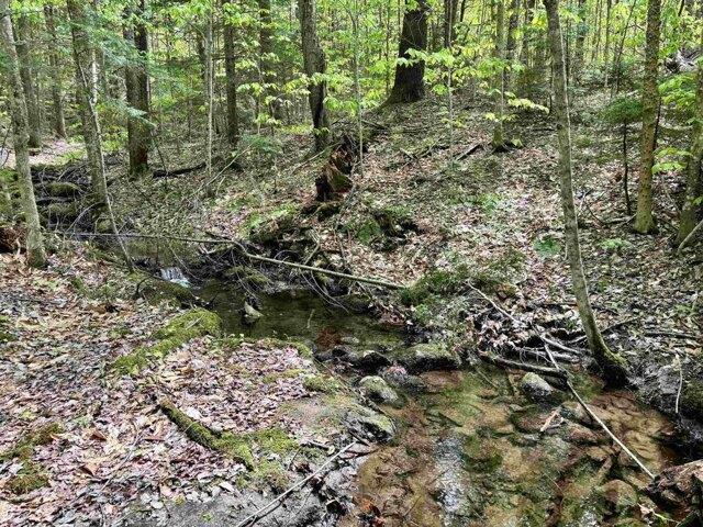Land for sale in Chester, Vermont