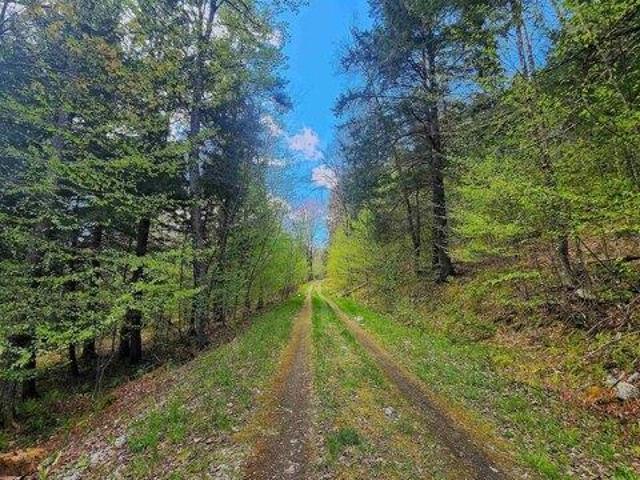Land for sale in Chester, Windsor County