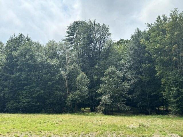 Land for sale in New Hampshire
