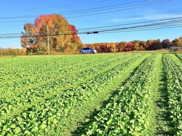 Land for sale in New Jersey
