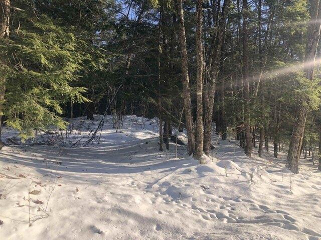 Land for sale in New Hampshire