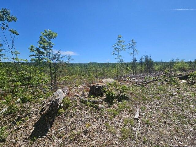 Land for sale in Chesterville, Maine