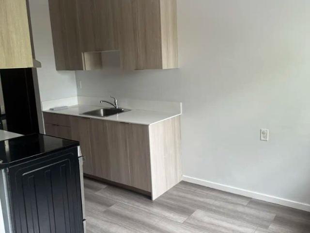 Apartment for rent in Mount Pleasant, Vancouver