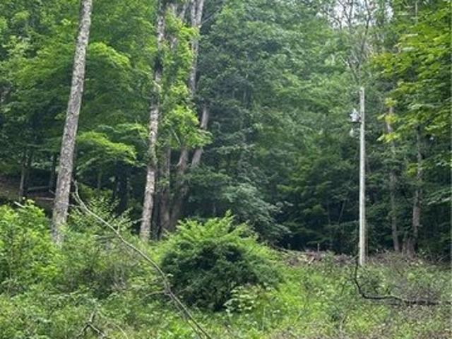 Land for sale in Watauga, North Carolina