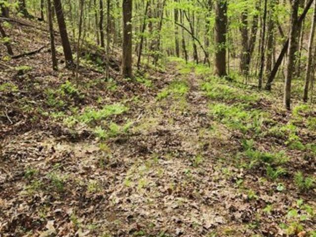 Land for sale in Reliance
